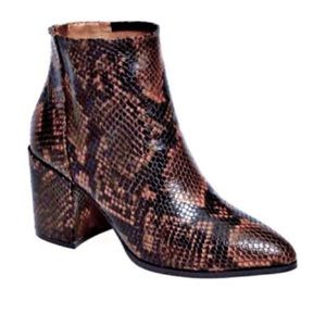 Snakeskin Steve Madden bootie 8.5